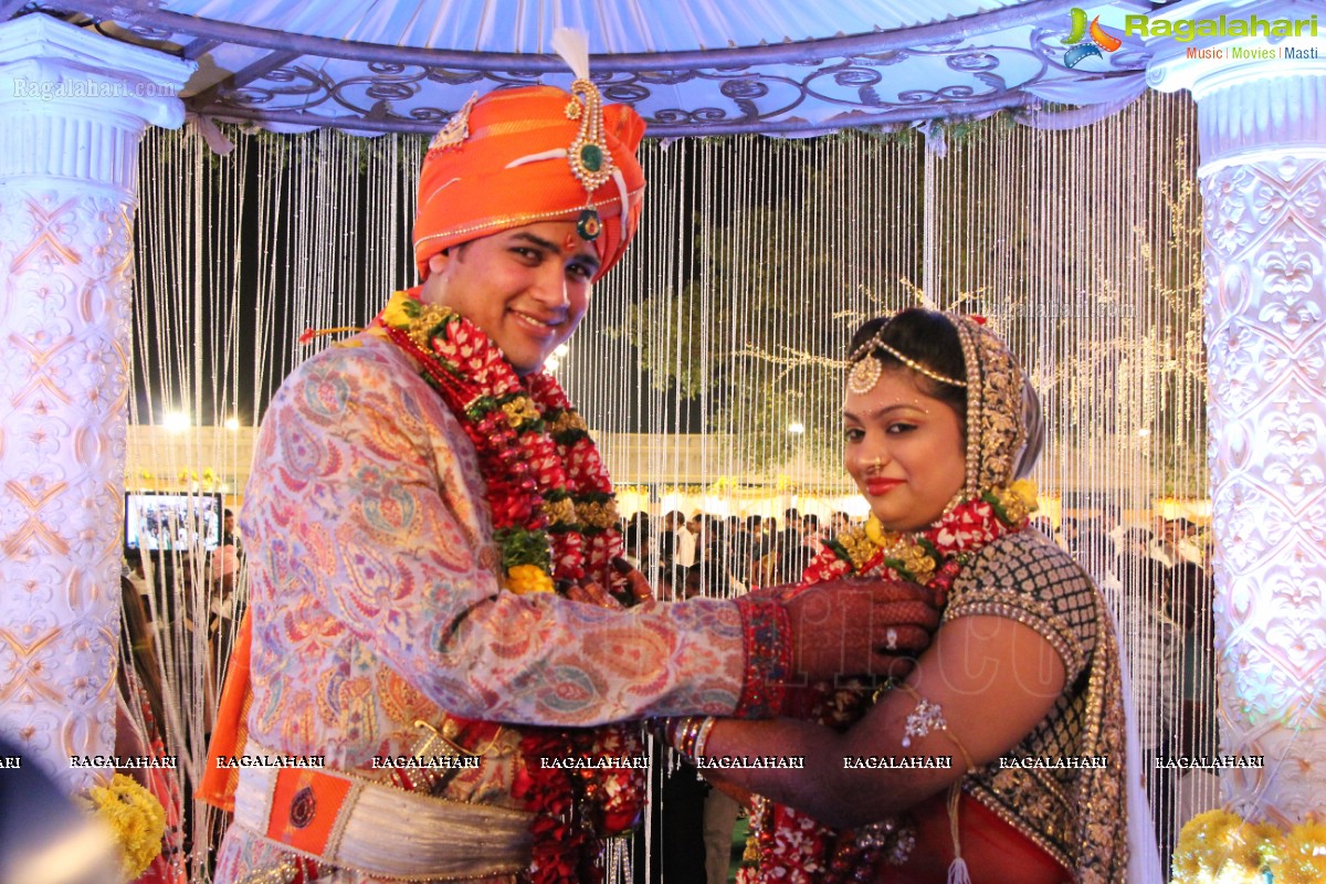 Tapish Agarwal-Priyasha Jalan Wedding at Imperial Garden, Hyderabad