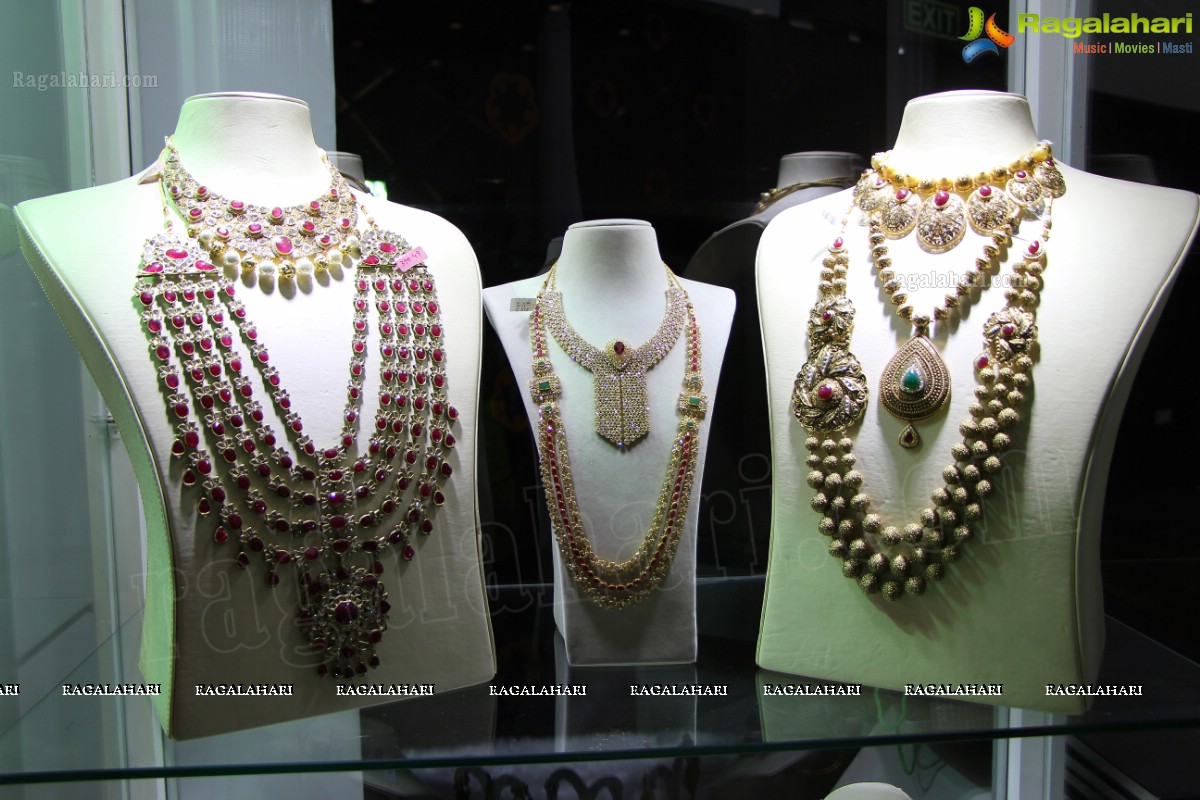 The Indian Luxury Expo (Hyderabad 2013) 