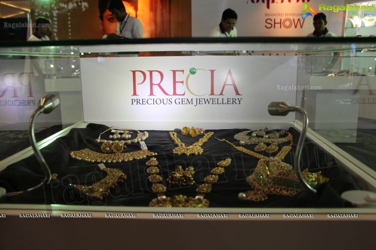 The Indian Luxury Expo (Hyderabad 2013) 