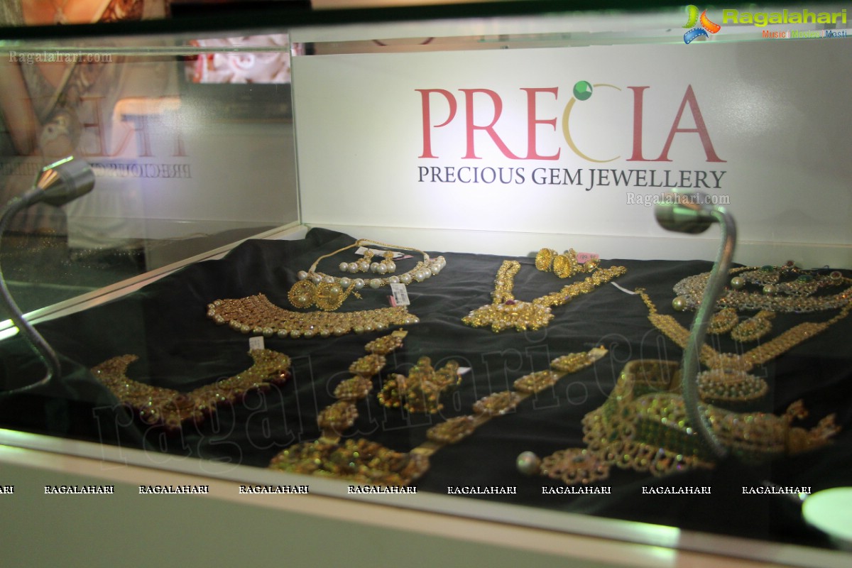 The Indian Luxury Expo (Hyderabad 2013) 