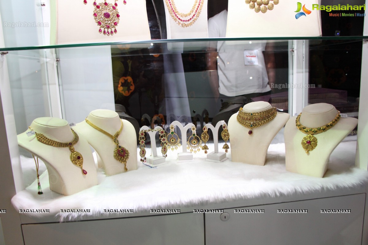 The Indian Luxury Expo (Hyderabad 2013) 