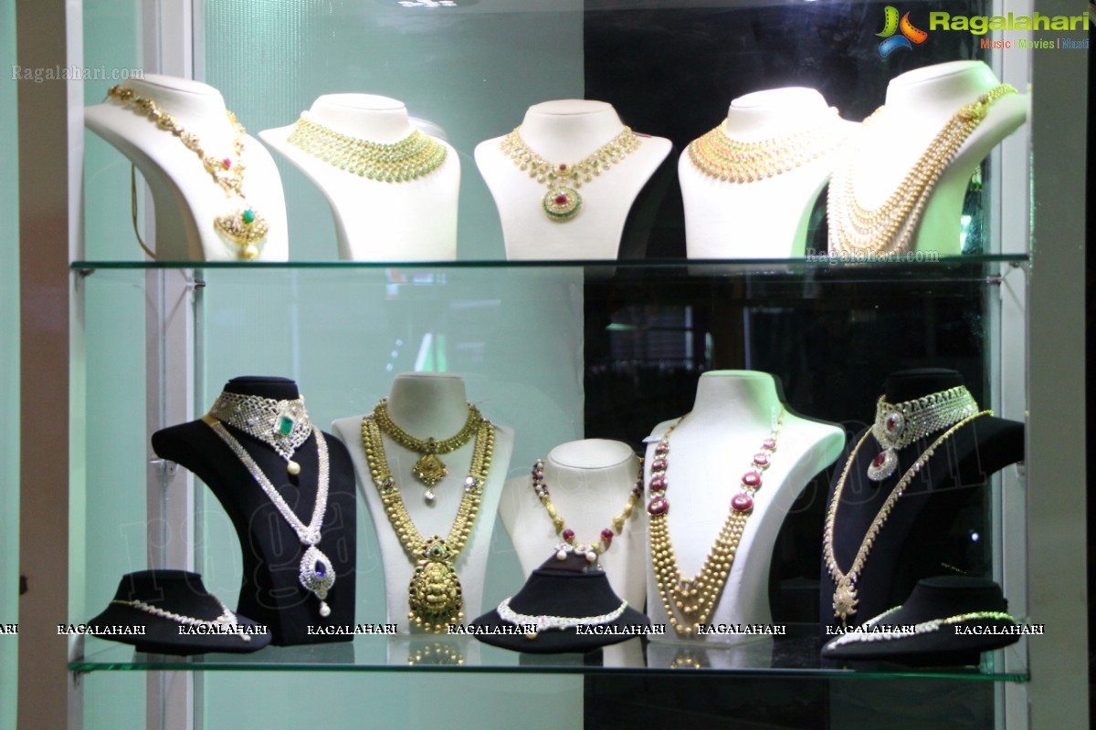 The Indian Luxury Expo (Hyderabad 2013) 