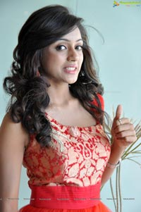 PIK Vithika Sheru