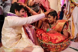 Hero Aadi Wedding Photos