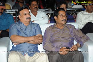 MMIRR Audio Launch