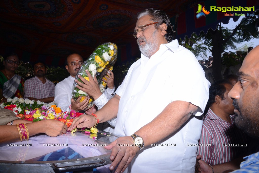 Celebs pay Homage to Chakri