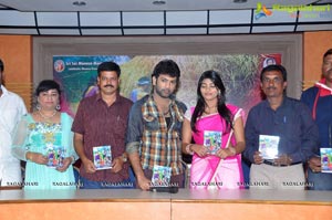 Telugu Cinema Audio Release