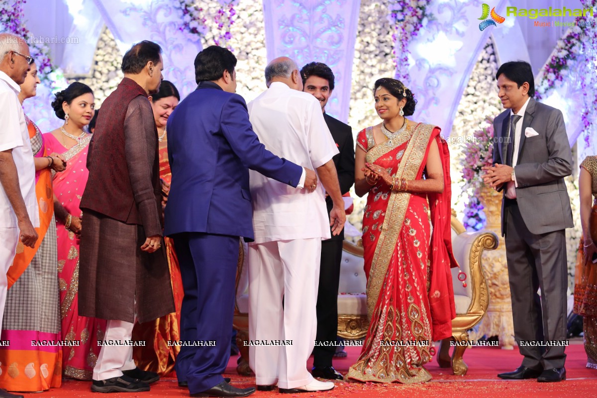 Hero Aadi Wedding Reception