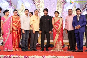 Hero Aadi Wedding Reception