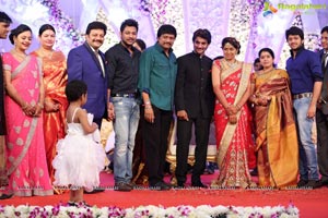 Hero Aadi Wedding Reception