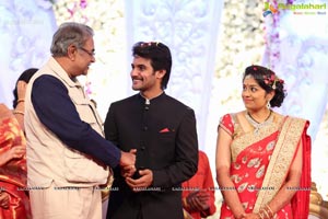 Hero Aadi Wedding Reception