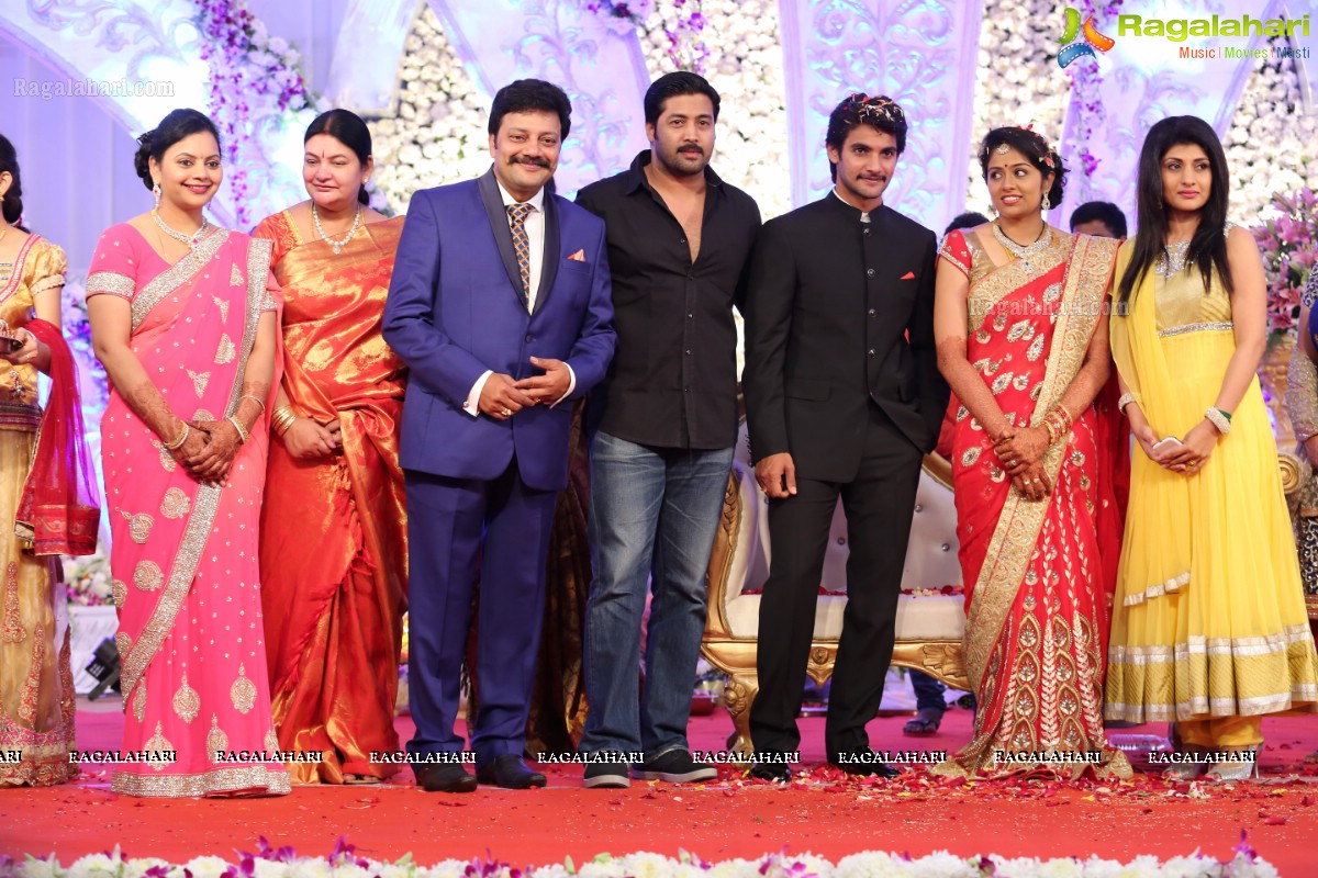 Hero Aadi Wedding Reception