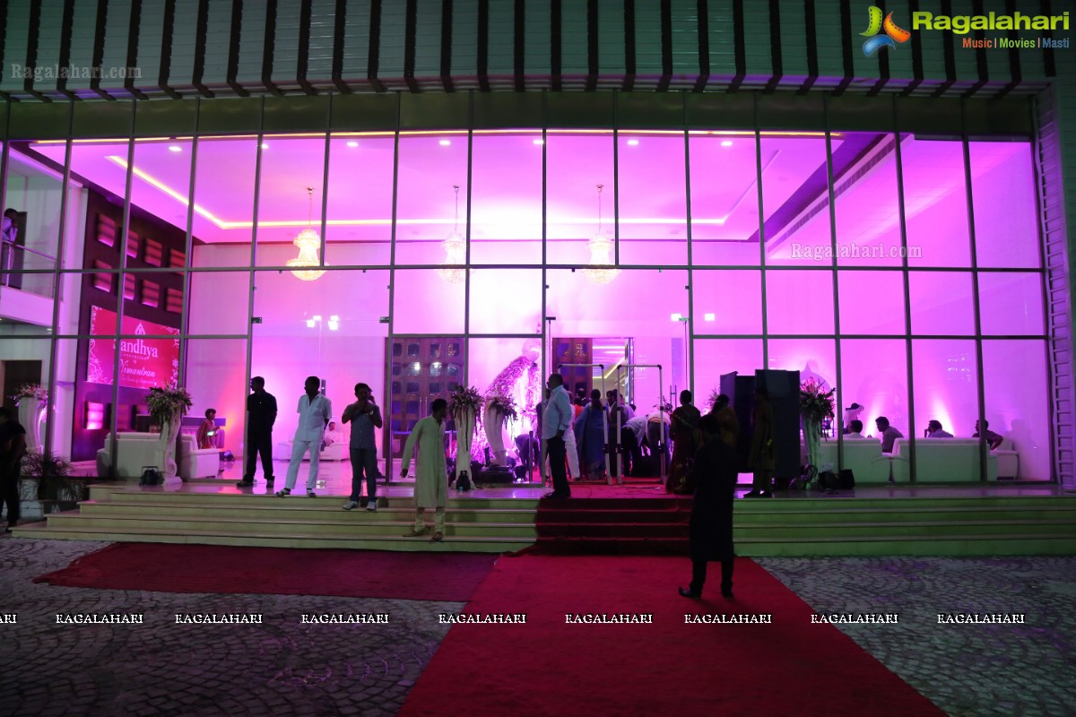 Hero Aadi Wedding Reception