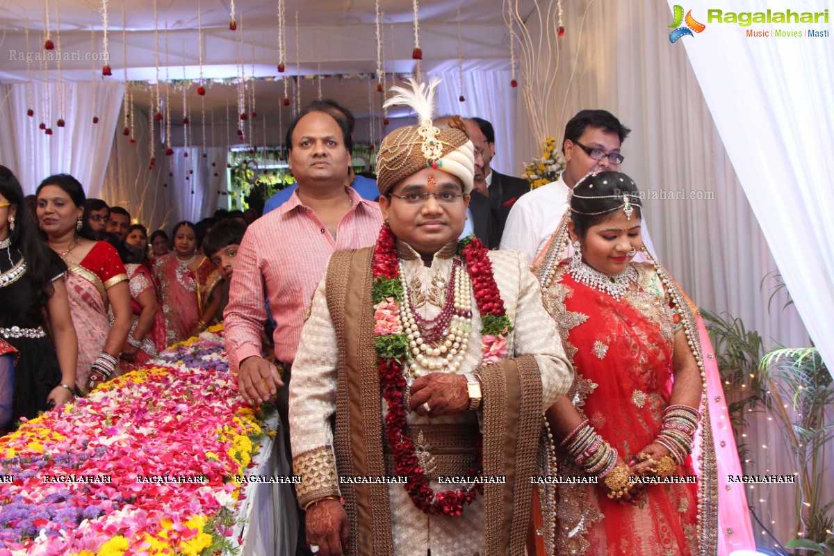 Wedding Ceremony of Akash Agarwal and Simran Agarwal