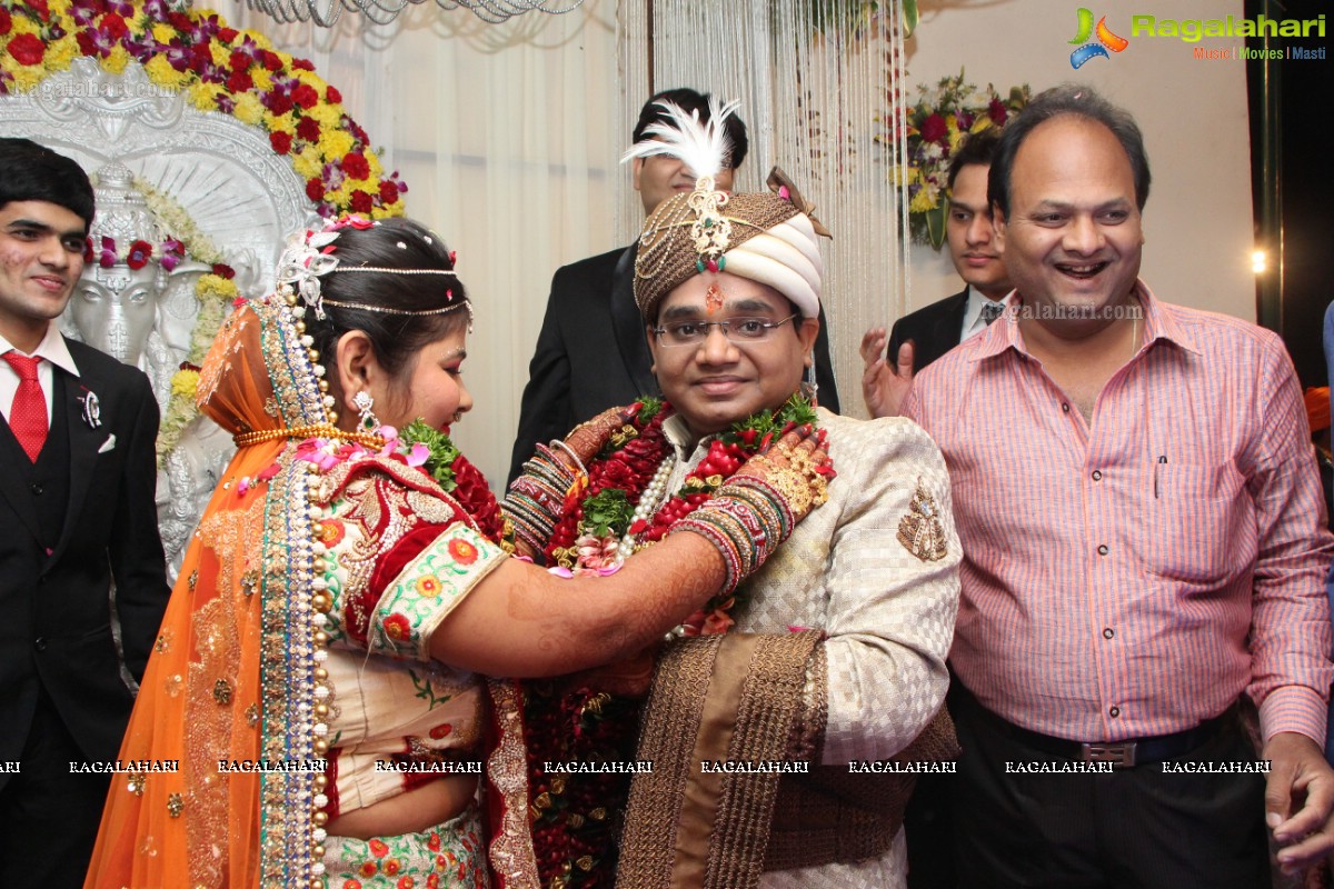 Wedding Ceremony of Akash Agarwal and Simran Agarwal