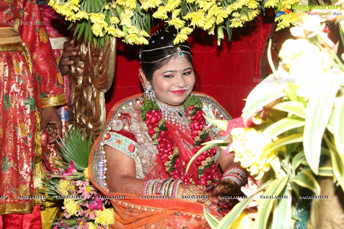 Wedding Ceremony of Akash Agarwal and Simran Agarwal