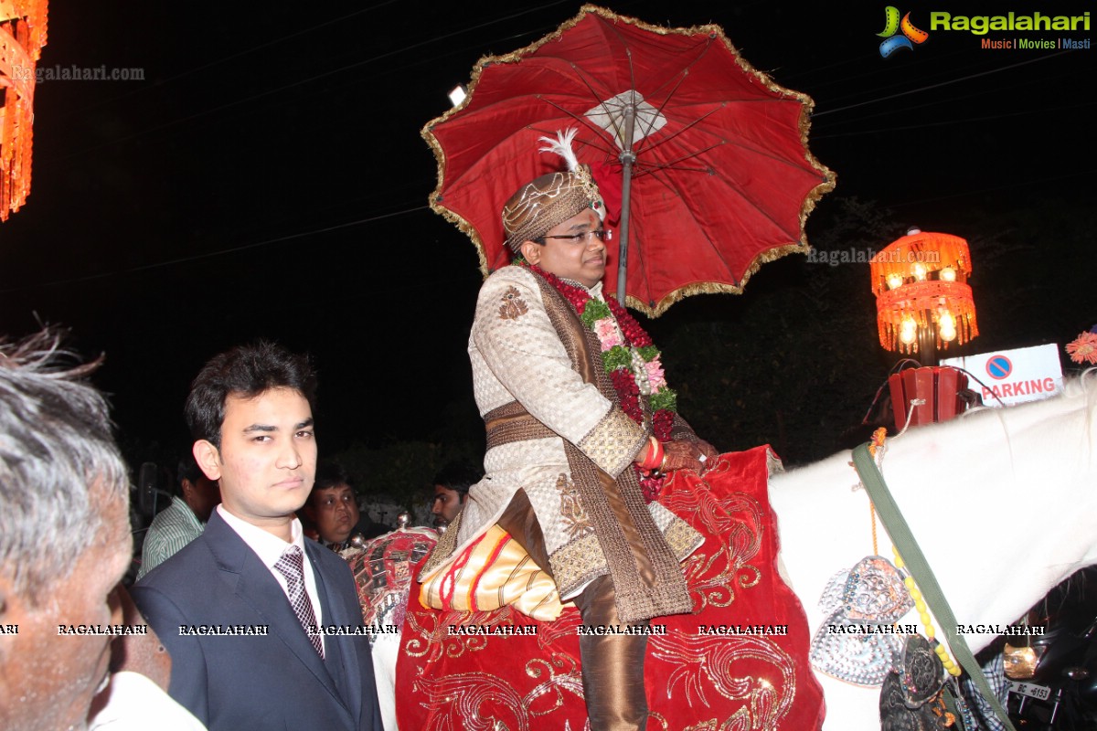 Wedding Ceremony of Akash Agarwal and Simran Agarwal