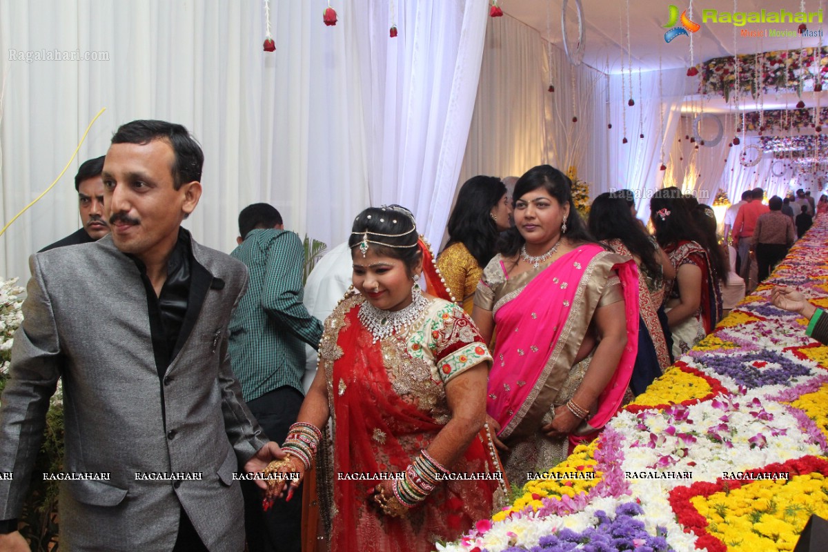 Wedding Ceremony of Akash Agarwal and Simran Agarwal