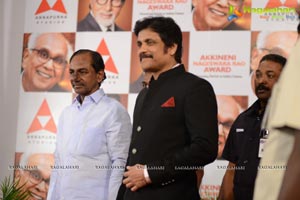 ANR Award 2013