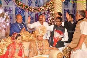 Ashish Ravisha Wedding Reception