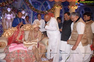 Ashish Ravisha Wedding Reception