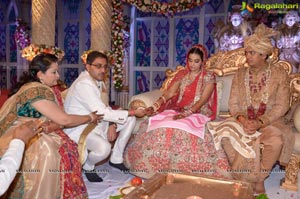 Ashish Ravisha Wedding Reception