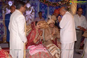 Ashish Ravisha Wedding Reception