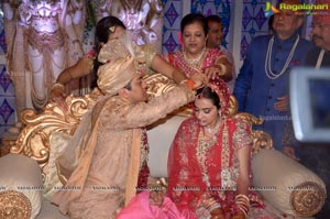 Ashish Ravisha Wedding Reception