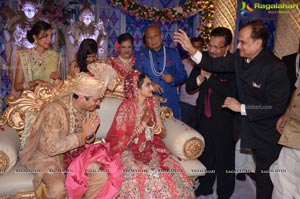 Ashish Ravisha Wedding Reception