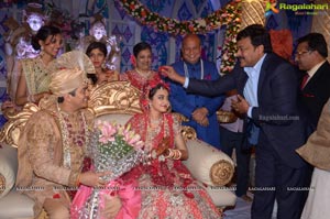 Ashish Ravisha Wedding Reception