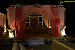 Ashish Ravisha Wedding Reception