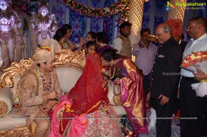 Ashish Ravisha Wedding Reception