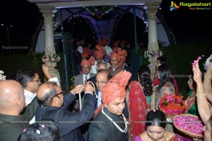 Ashish Ravisha Wedding Reception