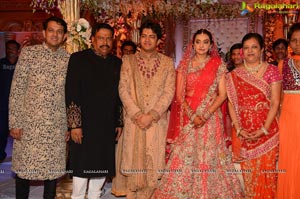 Ashish Ravisha Wedding Reception