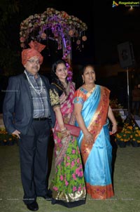 Ashish Ravisha Wedding Reception