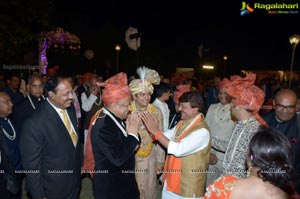 Ashish Ravisha Wedding Reception