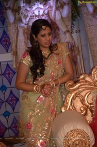 Ashish Ravisha Wedding Reception