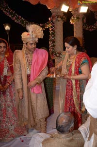 Ashish Ravisha Wedding Reception