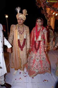 Ashish Ravisha Wedding Reception