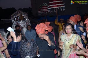 Ashish Ravisha Wedding Reception