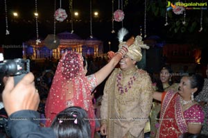 Ashish Ravisha Wedding Reception