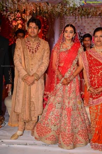 Ashish Ravisha Wedding Reception