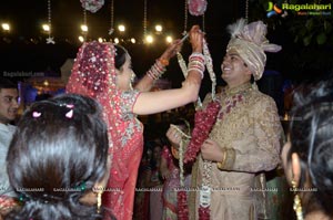 Ashish Ravisha Wedding Reception