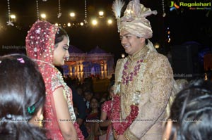 Ashish Ravisha Wedding Reception