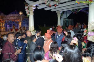 Ashish Ravisha Wedding Reception