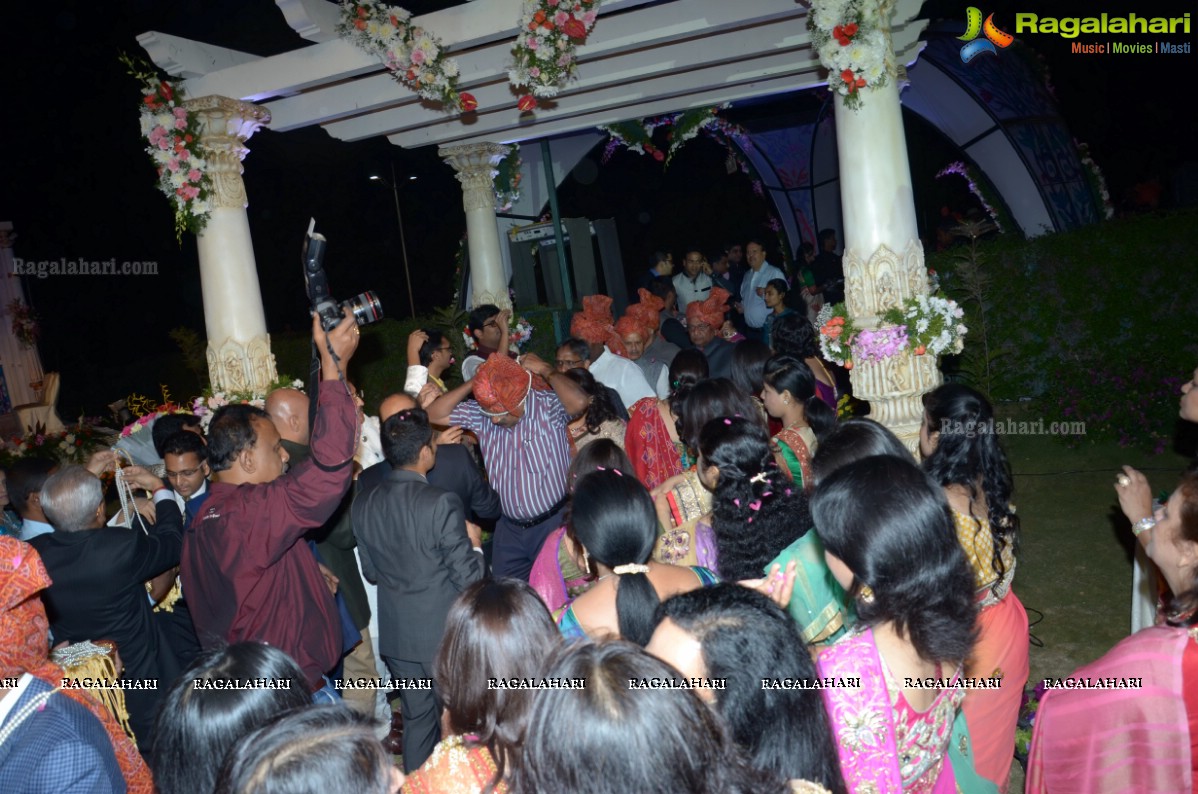 Grand Wedding Reception of Ashish and Ravisha at Novotel, Hyderabad