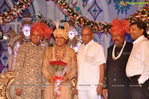 Ashish Ravisha Wedding Reception