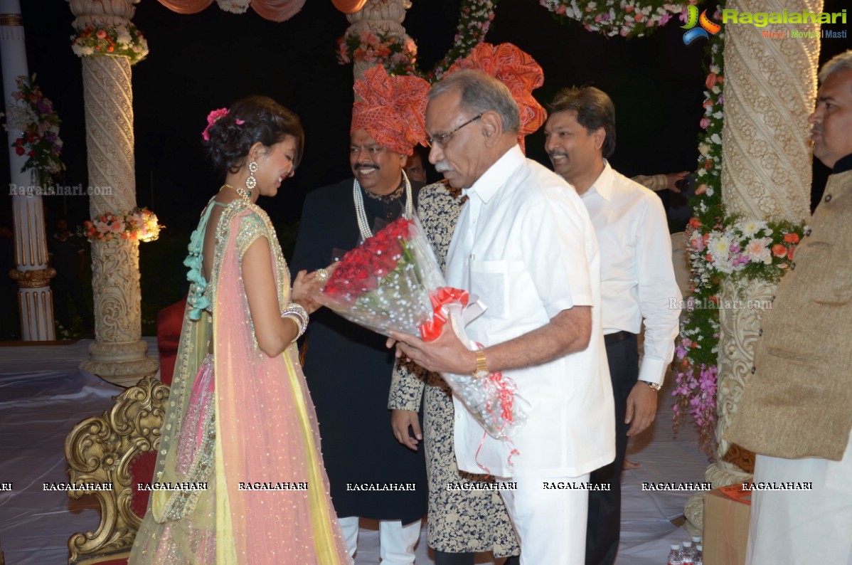 Grand Wedding Reception of Ashish and Ravisha at Novotel, Hyderabad