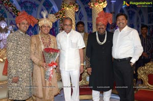 Ashish Ravisha Wedding Reception