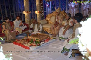Ashish Ravisha Wedding Reception